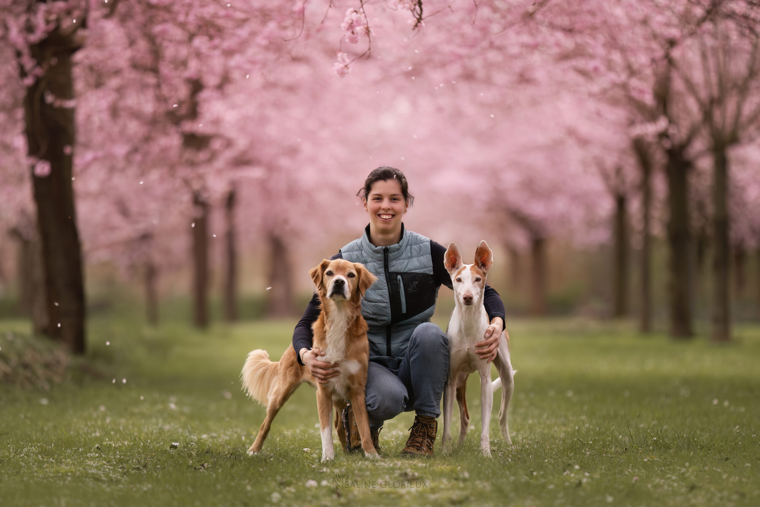 Couper les griffes des chiens avec Pattes Parfaites