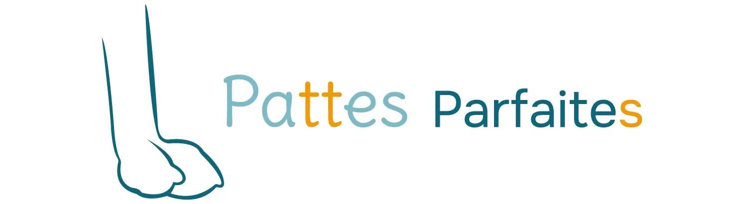 Coupe des griffes grâce aux conseil de pattes parfaites