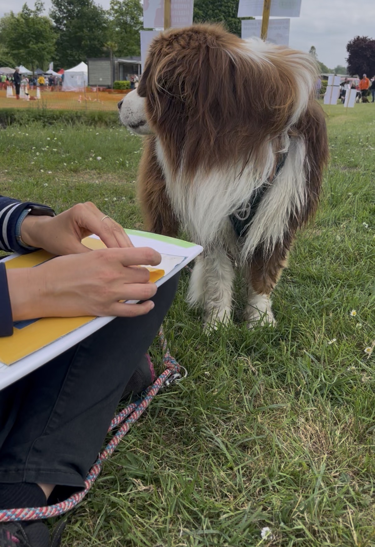 Atelier scratchboard en plein air