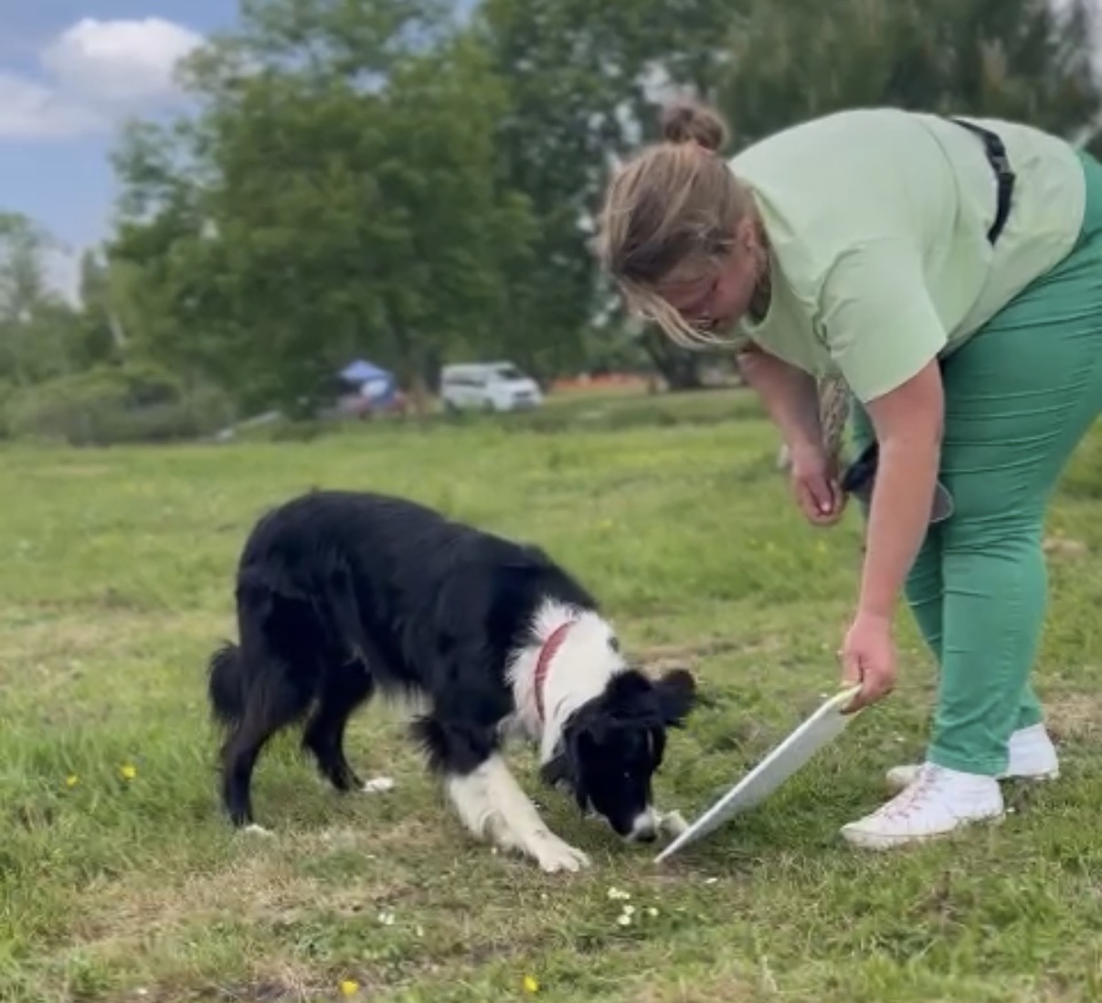 Atelier scratchboard en plein air