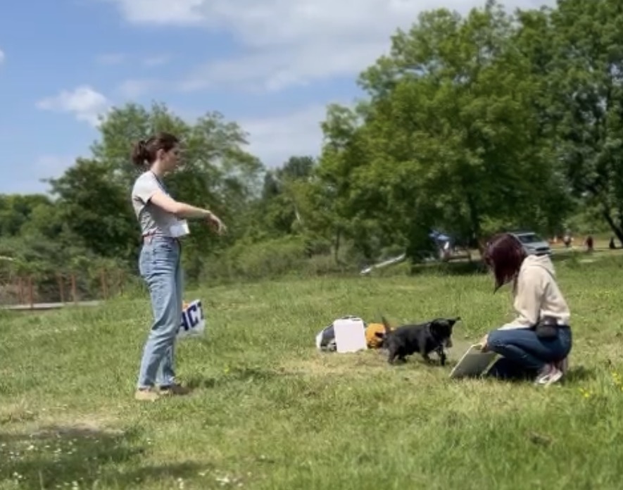 Atelier scratchboard en plein air