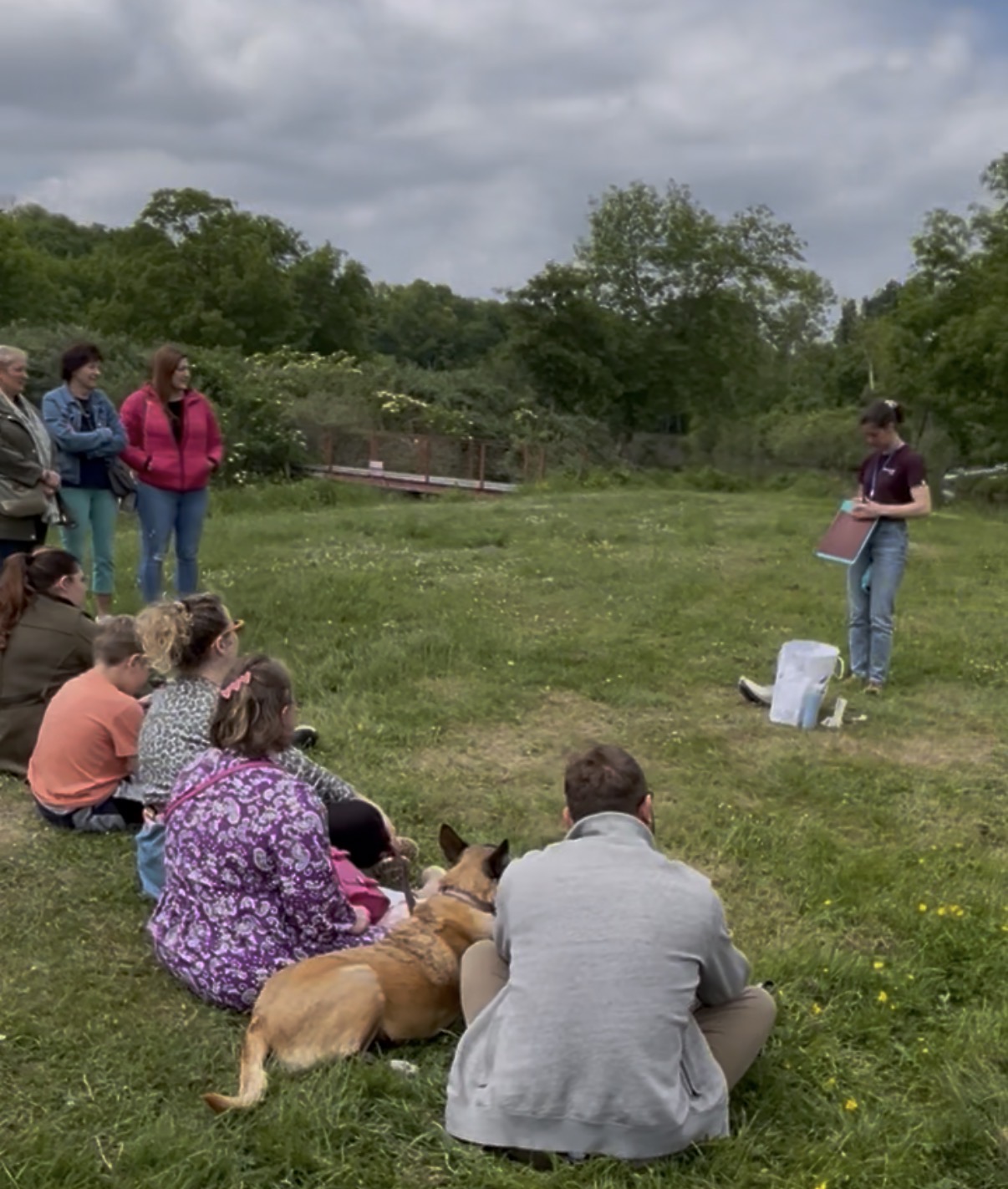 Atelier scratchboard pour apprendre à limer les griffes de ton chien