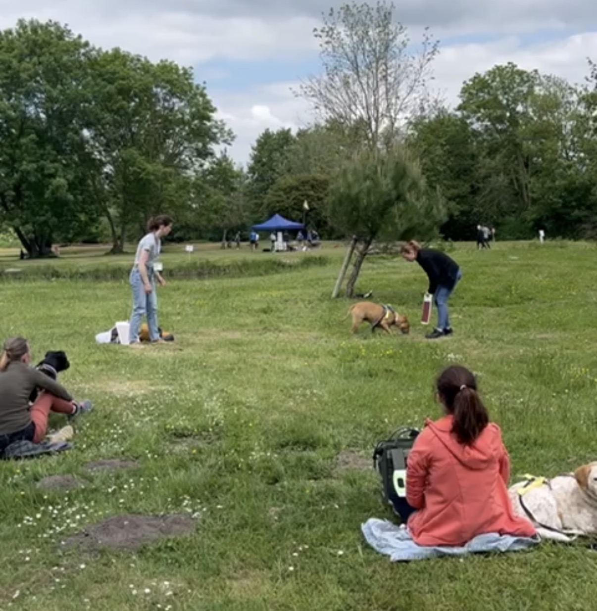 Atelier scratchboard en plein air