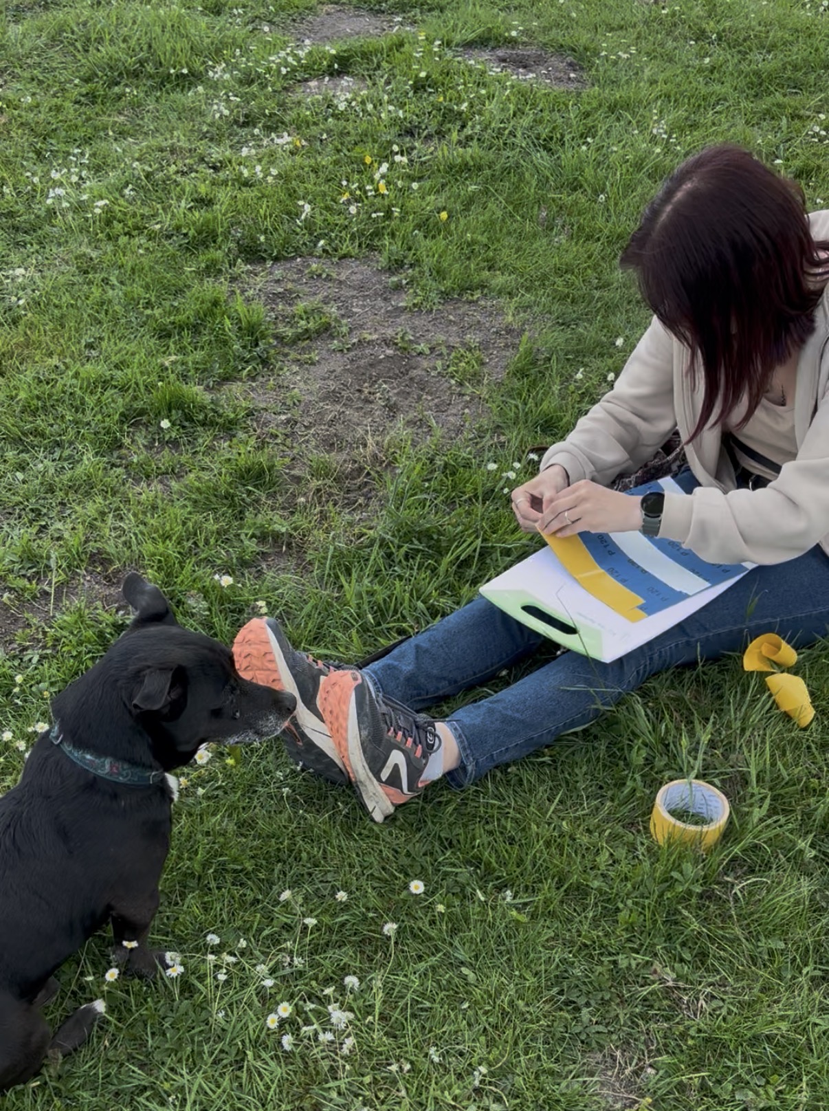 Atelier scratchboard Pattes Parfaites en plein air